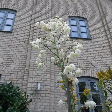 Skelstrupgaard Apartments Maribo Kültér fotó