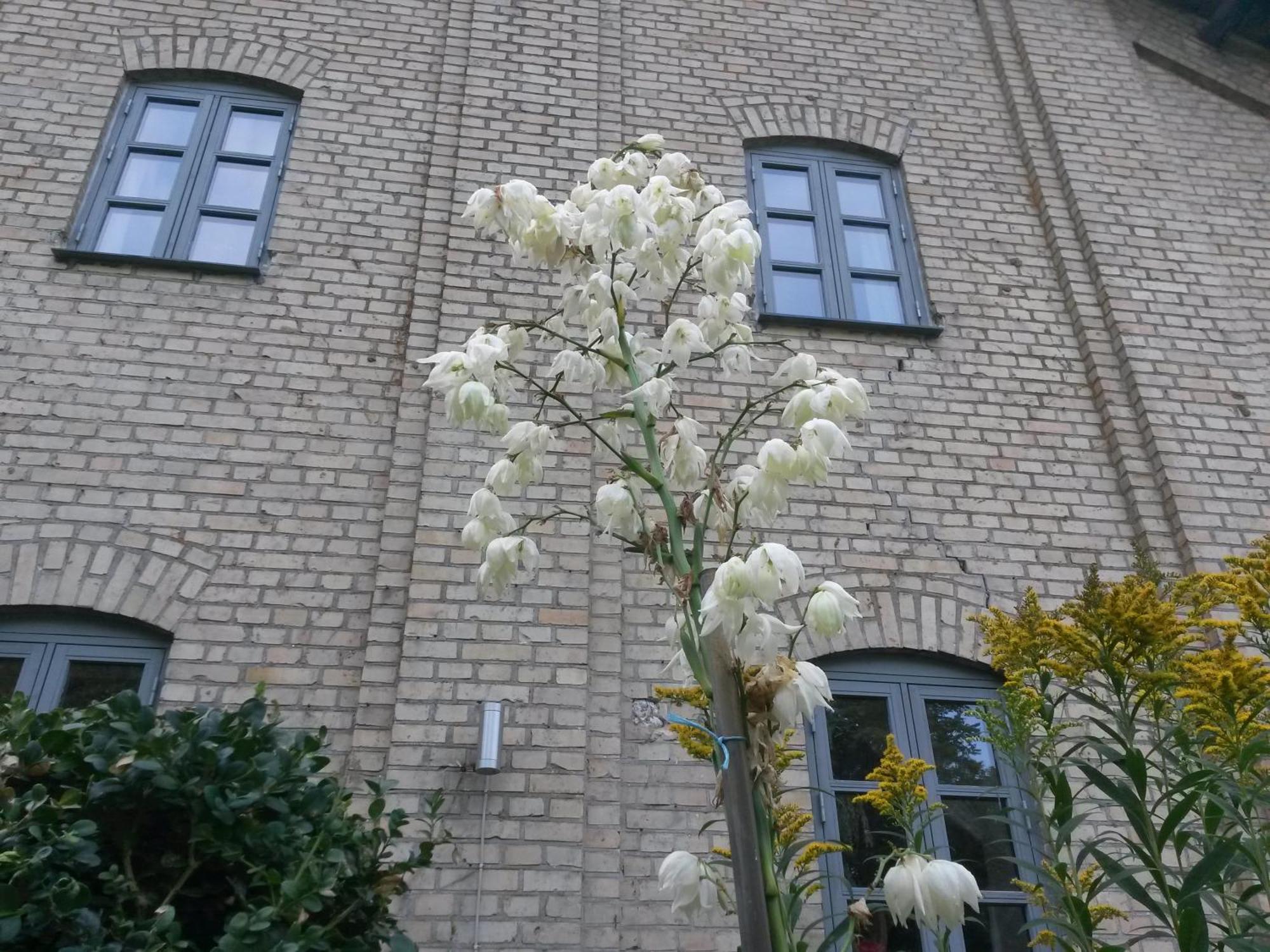 Skelstrupgaard Apartments Maribo Kültér fotó