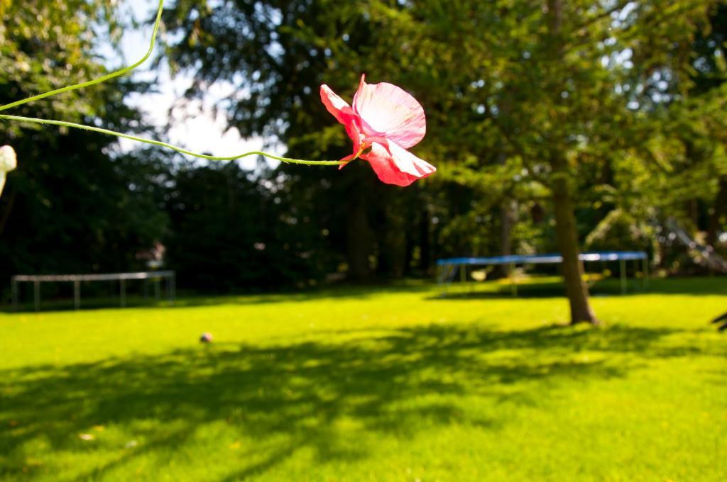 Skelstrupgaard Apartments Maribo Kültér fotó